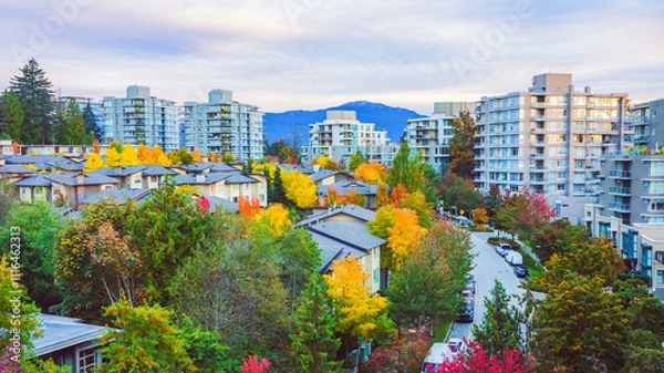 Fototapeta Lovely Fall colors at BC residential community of UniverCity Highlands on Burnaby Mountain.