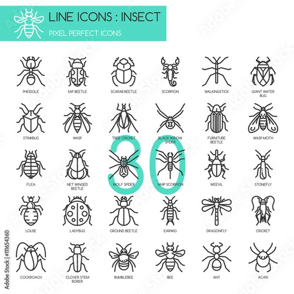 Fototapeta Insect , thin line icons set ,pixel perfect icon
