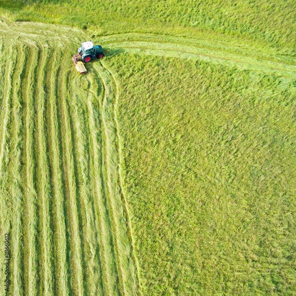 Fototapeta Aerial 4k - Taglio e lavorazione del foraggio 