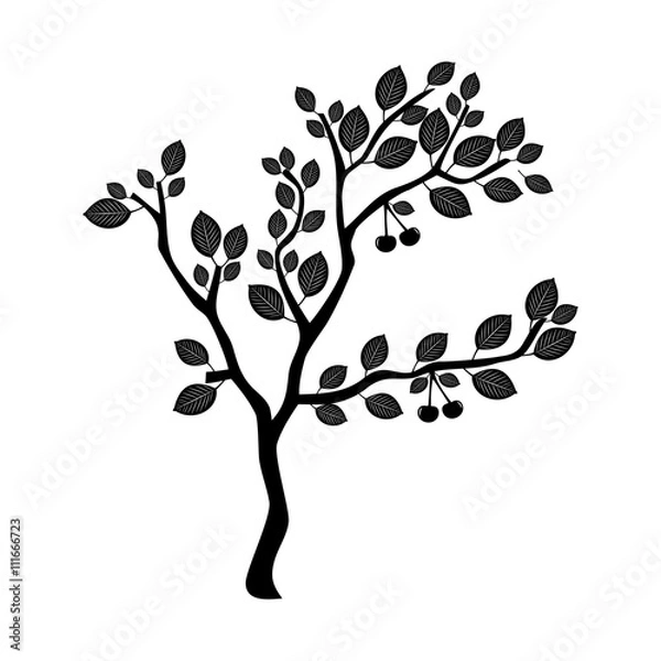 Fototapeta Tree silhouette