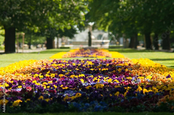 Fototapeta Saxon Garden