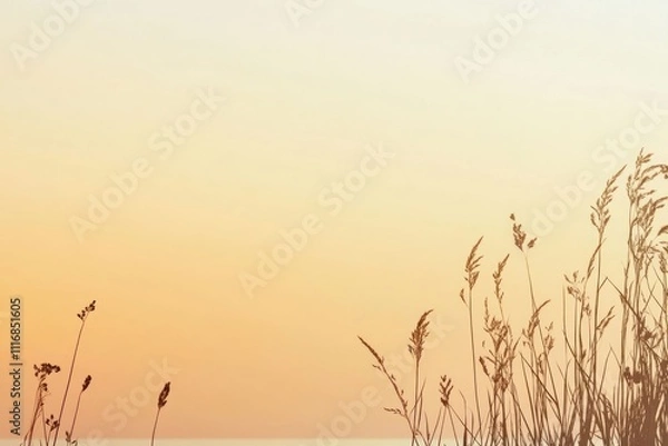 Fototapeta A serene landscape at sunset with silhouettes of tall grass against a gradient sky.