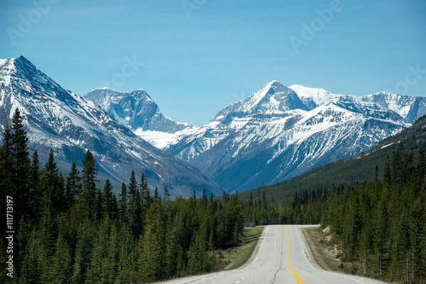 Fototapeta Canada, Rocky Mountains: Lonely street of banff national park with beautiful snowy mountains in the background and lined with pines