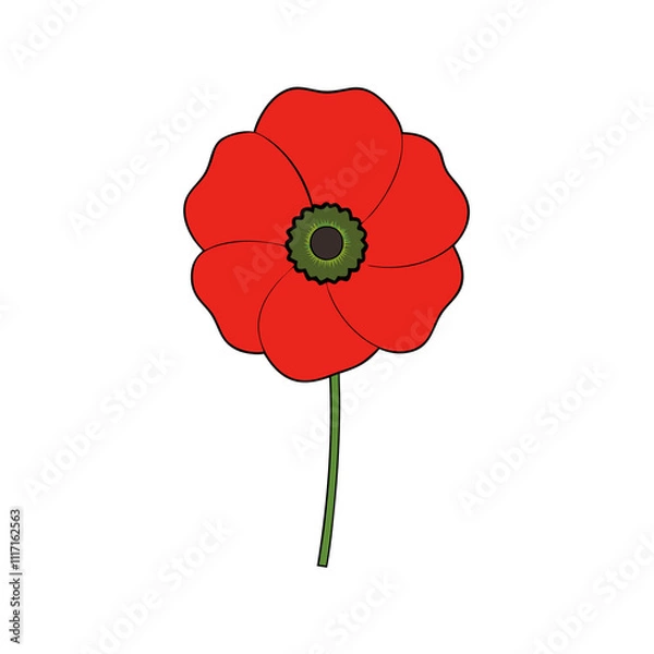 Obraz poppy vector illustration 