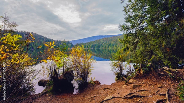 Fototapeta Sasamat Lake in Belcarra Provincial Park, BC, seen from the Sasamat Loop forest trail during a bracing Fall walk.