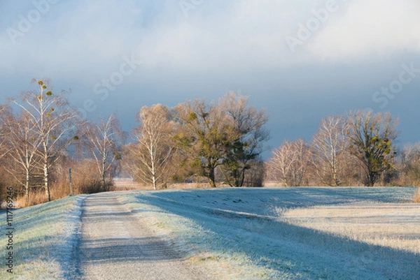 Fototapeta road in the winter
