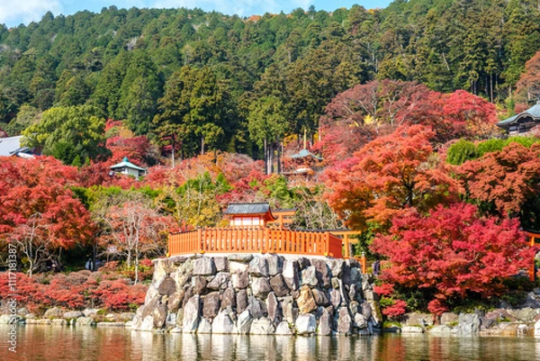 Fototapeta 前方に赤や黄、紫など全山の紅葉が浮かび上がり、背景の深い緑の山と合わせ一幅の絵画のような景観が広がる
