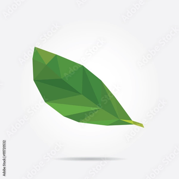 Fototapeta Green Leaf. Polygonal Green Leaf in Vector