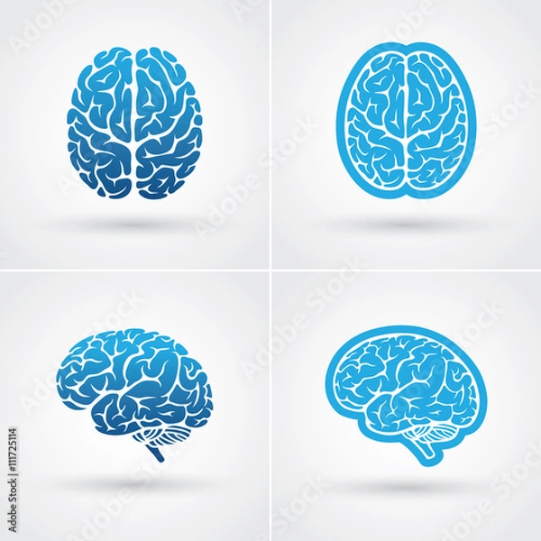 Fototapeta Four brain icons