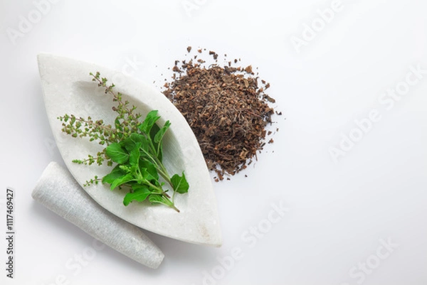 Fototapeta Close-up of fresh organic green Holy Basil or Rama Tulsi (Ocimum sanctum) leaves alongside its dried leaves, placed on a white marble mortar and pestle, isolated on a white background.