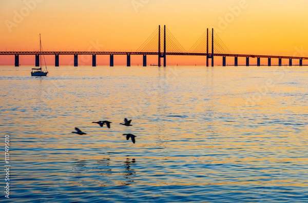 Fototapeta Sunset view of the Oresund bridge, a railway and motorway bridge across the Oresund strait between Denmark and Sweden, with a flight of ducks in the foreground.