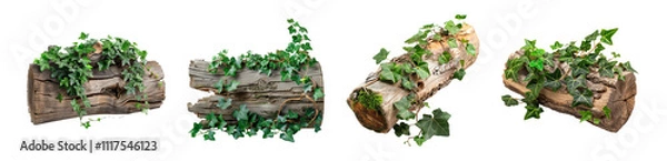 Fototapeta Ancient Ruins with Plants Isolated Transparent Background PNG Image