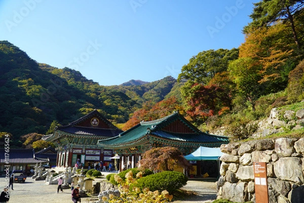 Obraz temples and mountains