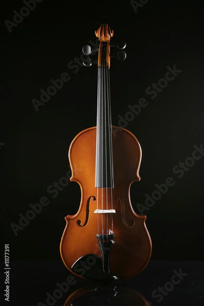 Obraz violino