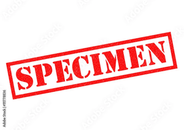 Fototapeta SPECIMEN