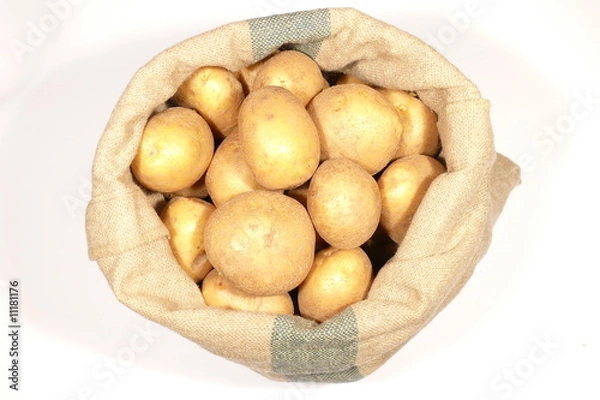 Obraz Potatoes bag on white