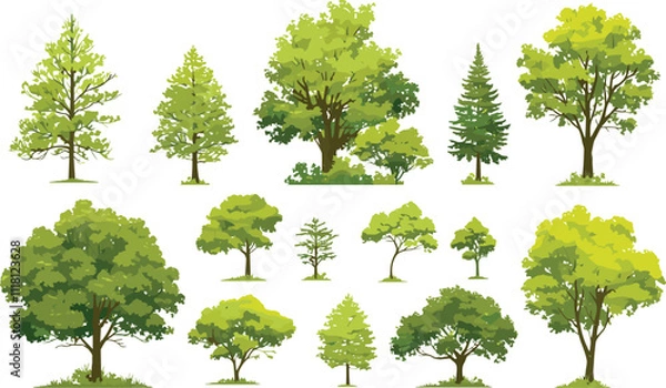 Fototapeta Collection of Green Trees and Bushes - Vector Illustration