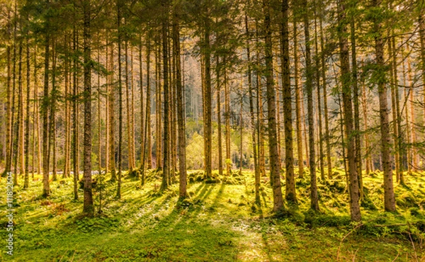 Obraz Licht und Schatten