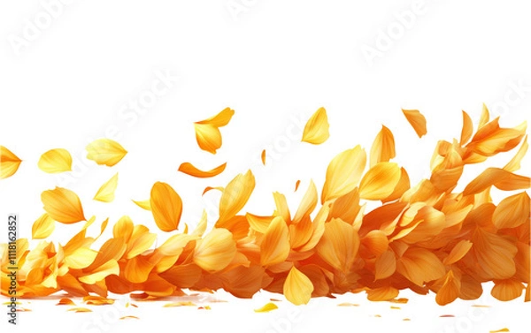 Fototapeta Vibrant Orange Petals on Transparent Background