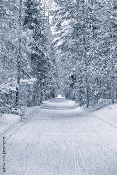 Obraz snowmobile trail in winter