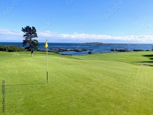 Fototapeta A man chipping on a golf green with the ocean behind him, on a beautiful sunny day in Victoria, British Columbia, Canada