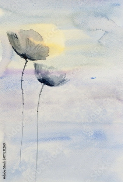 Obraz Dark poppy flowers with sun set background