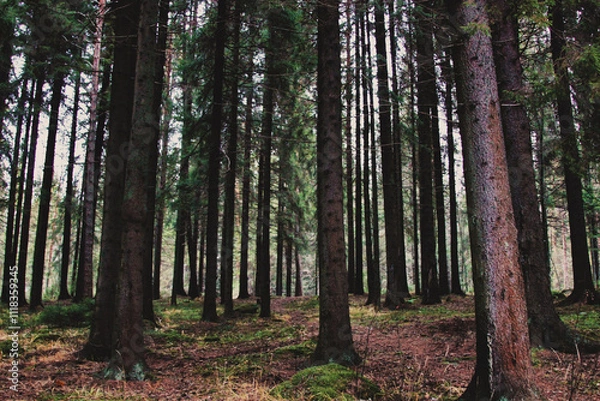 Obraz Processed with VSCOcam with lv03 preset