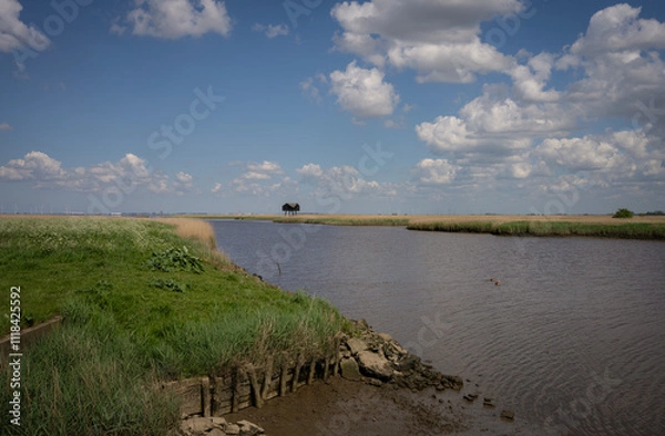 Fototapeta Bird watching hut De Kiekkaaste, with a view over the Eems-Dollard. This is the only Dutch bird watching hut outside the dikes.