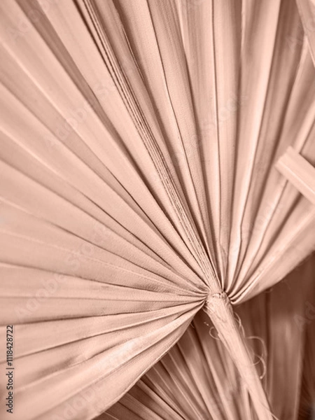 Obraz Dried fan shaped tropical palm tree leaves