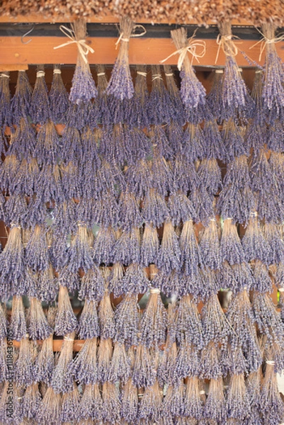 Fototapeta Dry lavender 