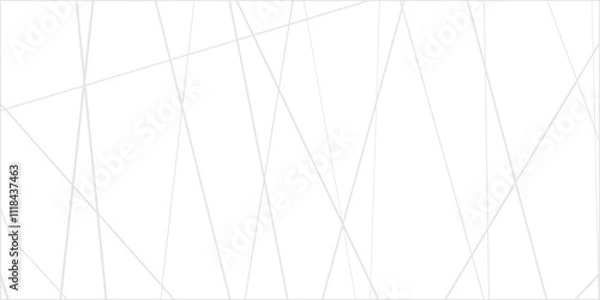 Fototapeta Abstract lines in black and white tone of many squares and rectangle shapes on white background. Metal grid isolated on the white background. nervures de feuilles mortes, fond rectangle and geometric