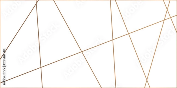 Fototapeta Random chaotic lines. Abstract geometric pattern. Outline monochrome texture.