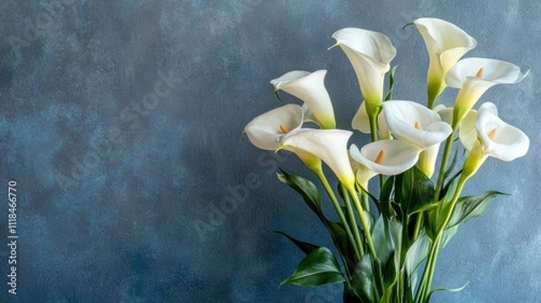 Obraz Bouquet of white calla lilies against textured blue background