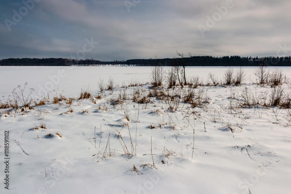 Obraz Winter Landscape with lake in snow, trees and dry grass