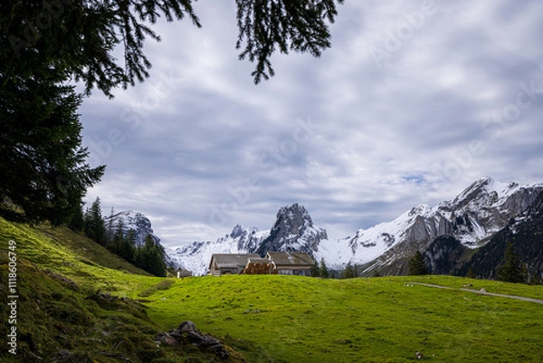 Fototapeta swiss mountains in the mountains of alpstein with meadow and alpine hut