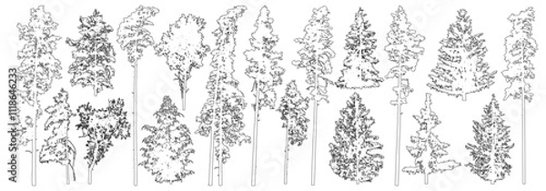 Obraz Set of coniferous and deciduous trees for architecture and landscape design, line drawing, contour. Vector illustration