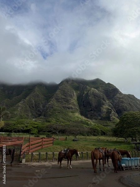 Obraz horses in the mountains