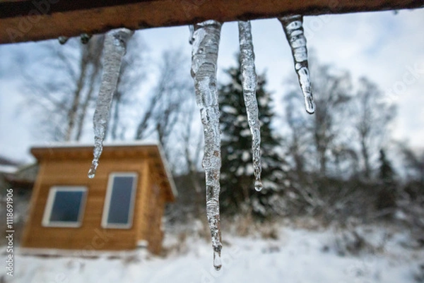 Obraz icicle in the snow