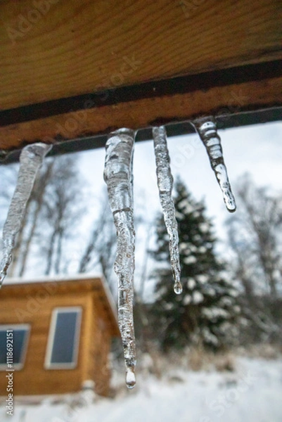 Obraz icicles hanging from a roof