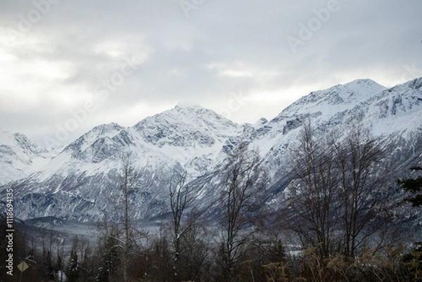Obraz mountains in the snow