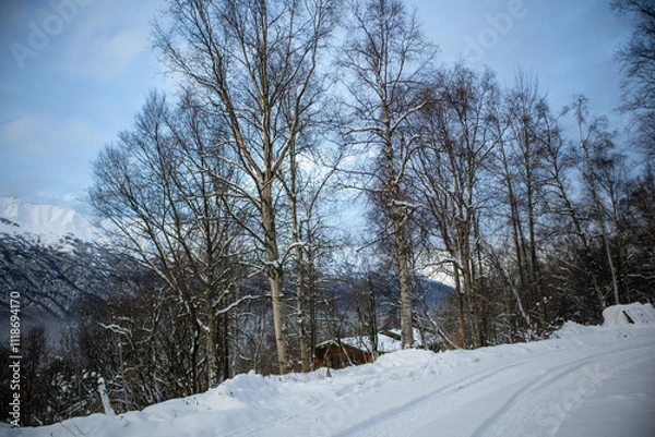 Obraz winter landscape with trees and snow