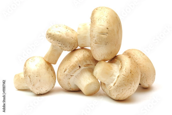 Obraz Mushrooms