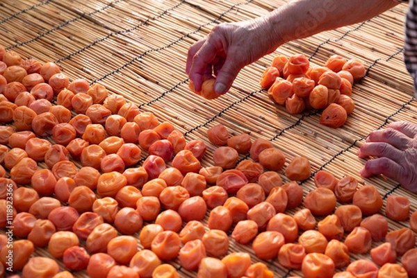 Fototapeta 梅干し