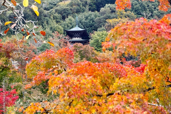 Obraz 京都永観堂禅林寺の紅葉