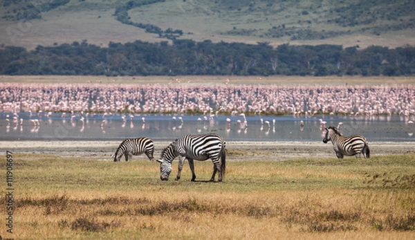 Obraz Ngorongoro Conservation Area