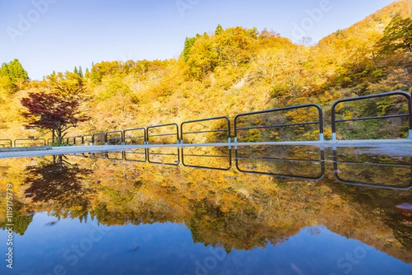 Fototapeta Kiyotsu Gorge with autumn colors, Niigata Prefecture, Japan. 清津峡渓谷