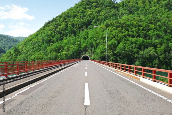 Fototapeta さっぽろ湖の新緑