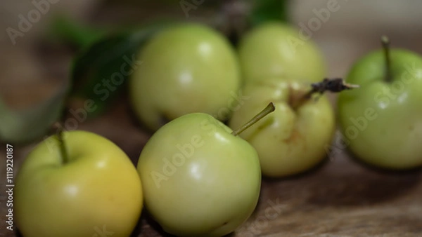 Fototapeta Wildapfel
