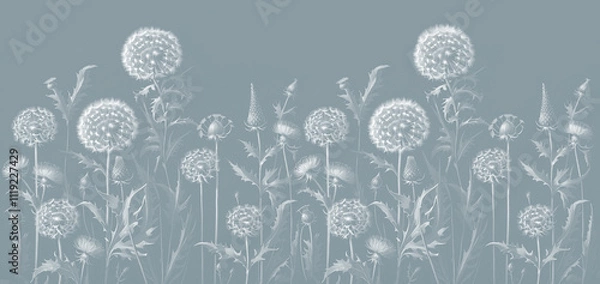 Fototapeta Wallpaper design for the wall. Botanical drawing, large dandelions. Textile design.