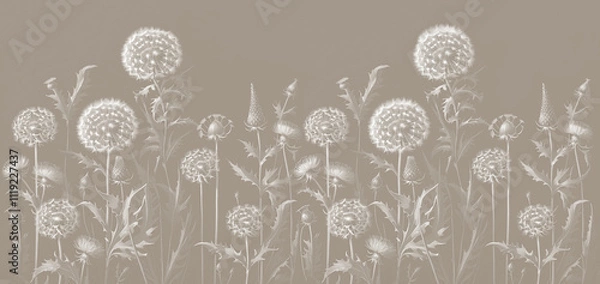 Fototapeta Wallpaper design for the wall. Botanical drawing, large dandelions. Textile design.